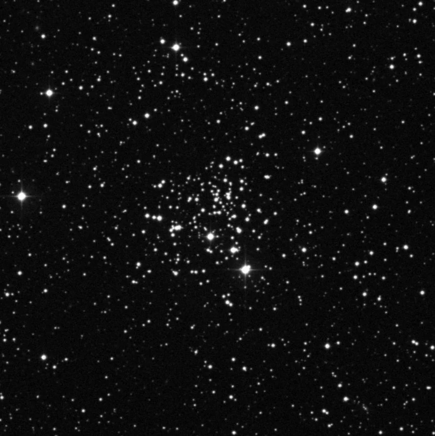 Imagem de referência (DSS2) de NGC 2266 — objeto ainda não capturado no observatório