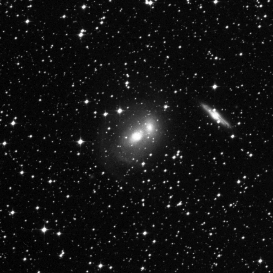 Imagem de referência (DSS2) de NGC 2293 — objeto ainda não capturado no observatório