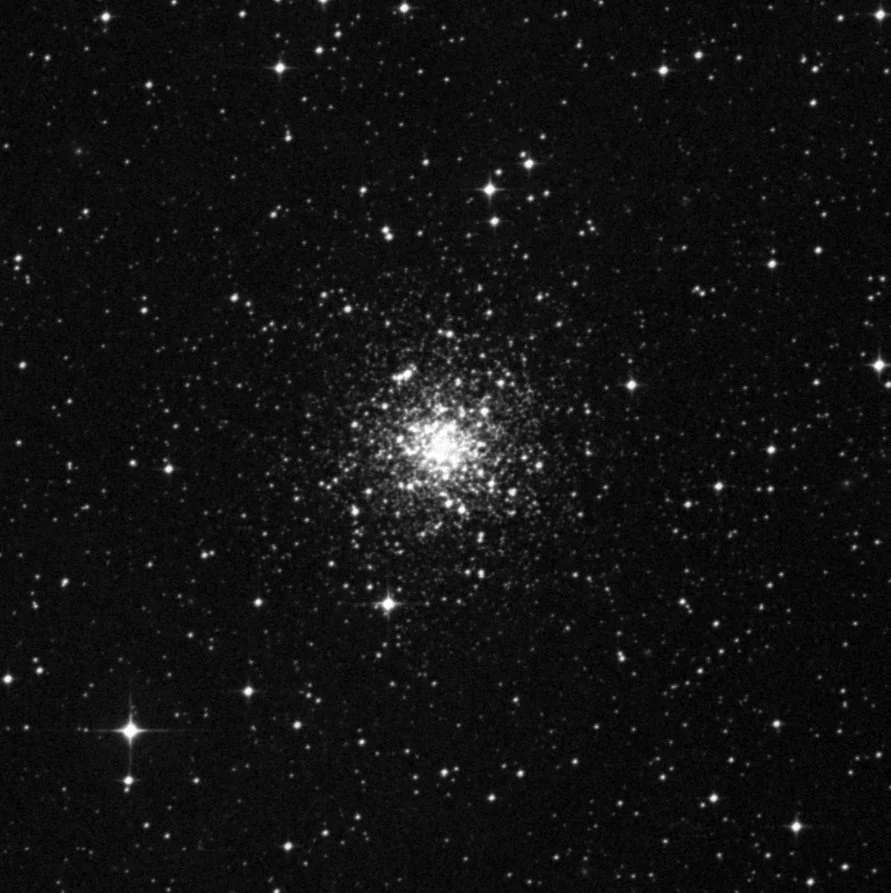 Imagem de referência (DSS2) de NGC 2298 — objeto ainda não capturado no observatório
