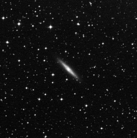 Imagem de referência (DSS2) de NGC 2310 — objeto ainda não capturado no observatório
