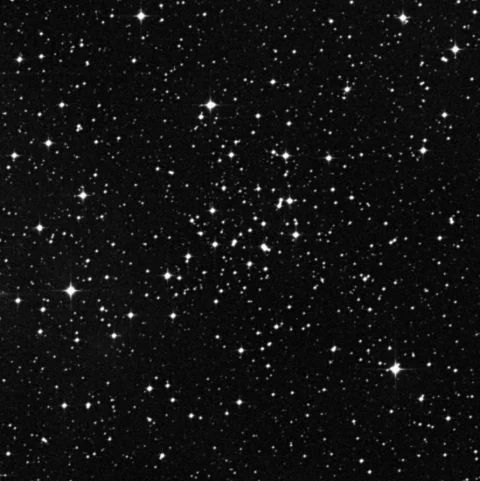 Imagem de referência (DSS2) de NGC 2311 — objeto ainda não capturado no observatório