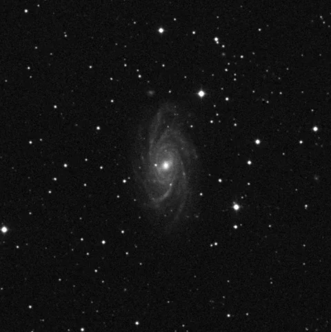 Imagem de referência (DSS2) de NGC 2336 — objeto ainda não capturado no observatório