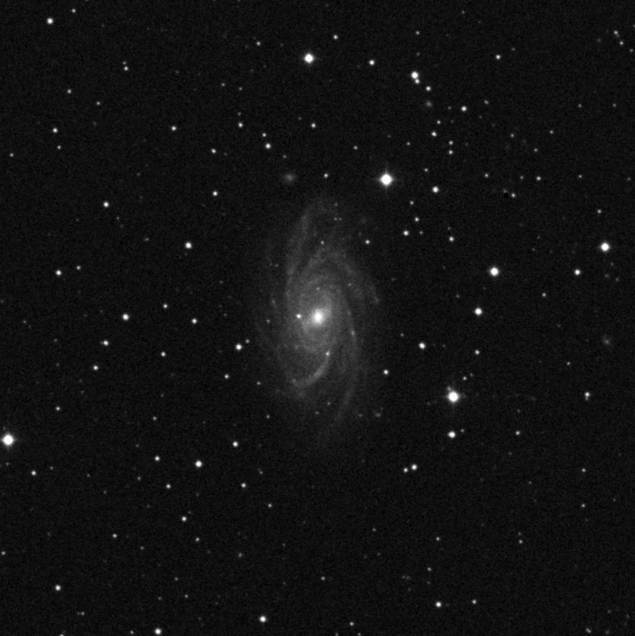 Imagem de referência (DSS2) de NGC 2336 — objeto ainda não capturado no observatório
