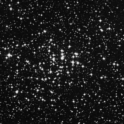 Imagem de referência (DSS2) de NGC 2360 — Caroline’s Cluster — objeto ainda não capturado no observatório