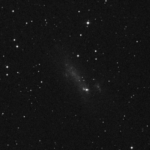 Imagem de referência (DSS2) de NGC 2366 — objeto ainda não capturado no observatório
