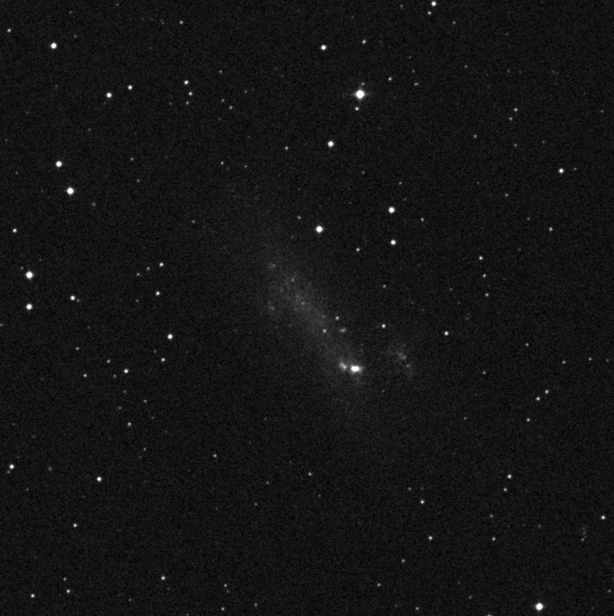 Imagem de referência (DSS2) de NGC 2366 — objeto ainda não capturado no observatório