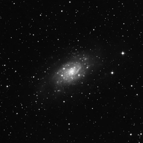 Imagem de referência (DSS2) de NGC 2403 — objeto ainda não capturado no observatório