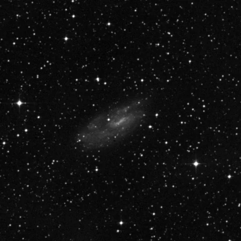 Imagem de referência (DSS2) de NGC 2427 — objeto ainda não capturado no observatório
