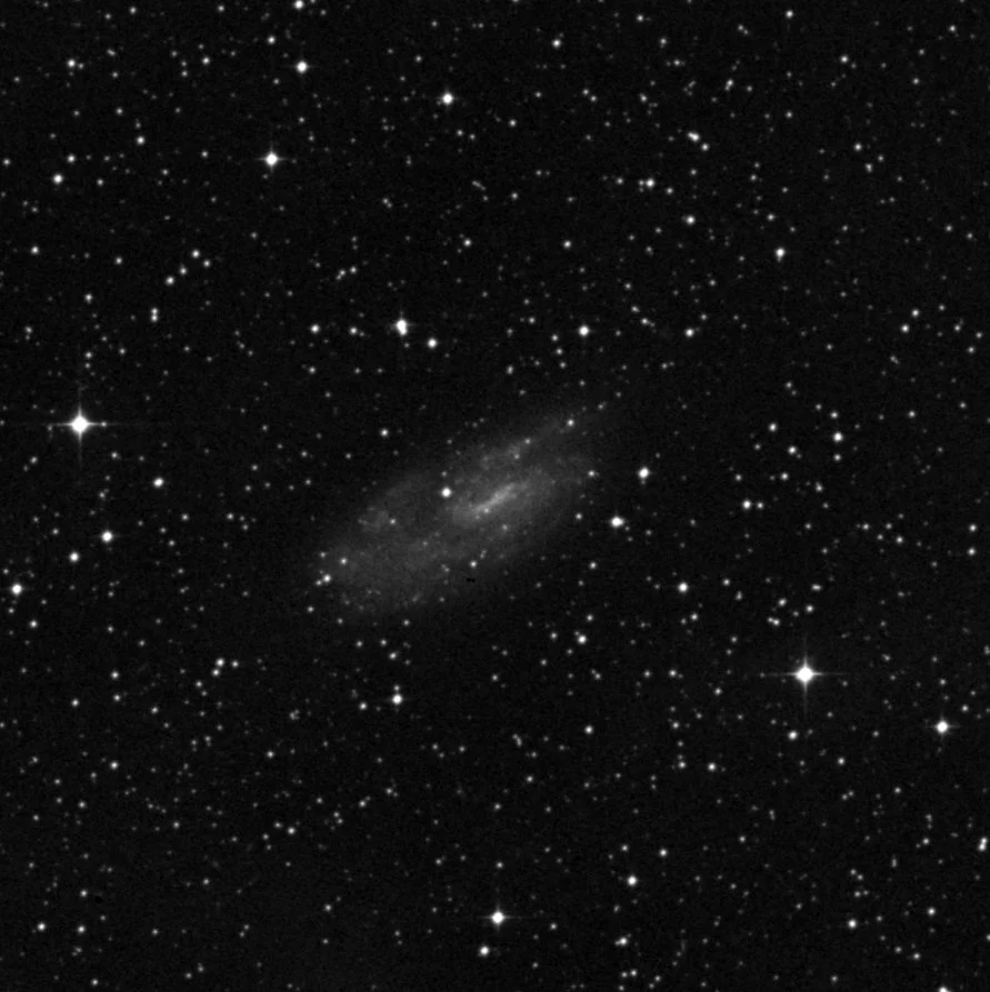 Imagem de referência (DSS2) de NGC 2427 — objeto ainda não capturado no observatório