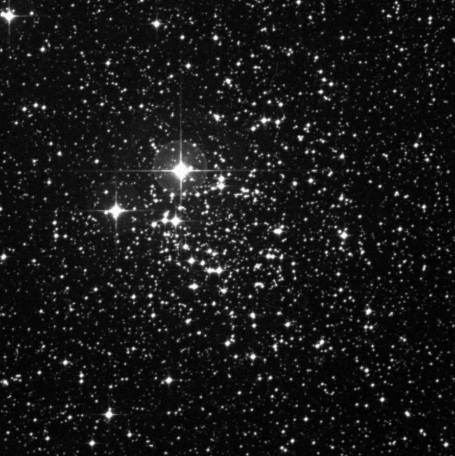 Imagem de referência (DSS2) de NGC 2439 — objeto ainda não capturado no observatório