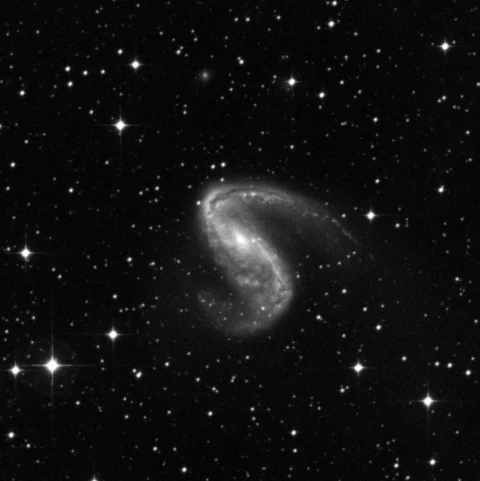 Imagem de referência (DSS2) de NGC 2442 — objeto ainda não capturado no observatório
