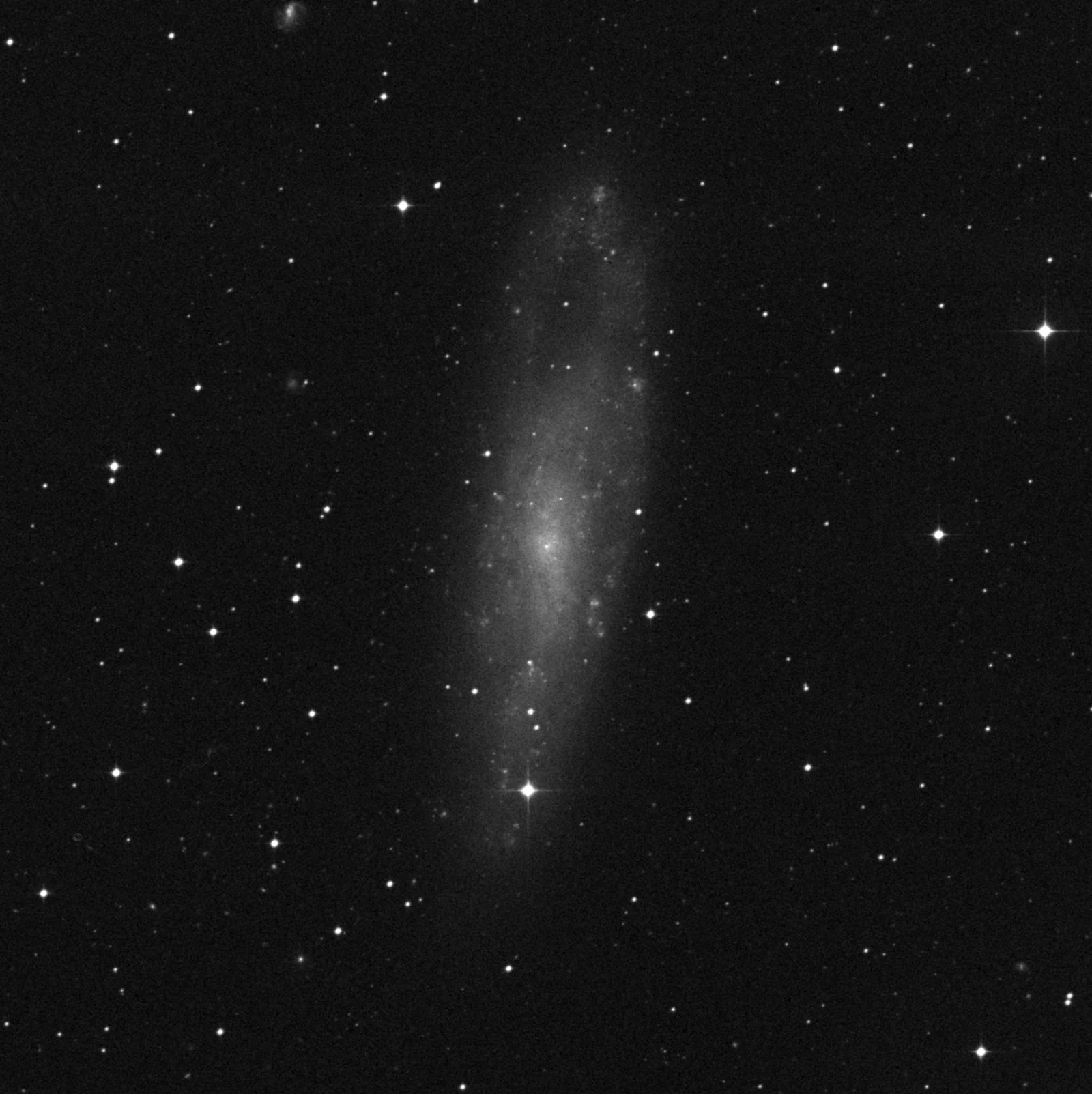Imagem de referência (DSS2) de NGC 247 — objeto ainda não capturado no observatório