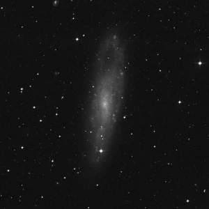 Imagem de referência (DSS2) de NGC 247 — objeto ainda não capturado no observatório