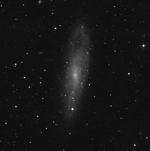 Imagem de referência (DSS2) de NGC 247 — objeto ainda não capturado no observatório