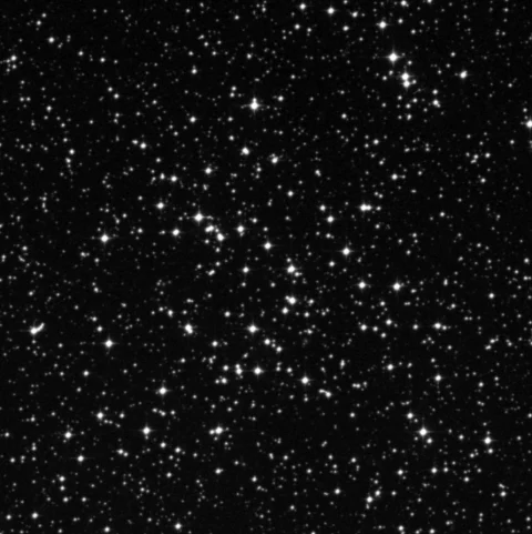 Imagem de referência (DSS2) de NGC 2479 — objeto ainda não capturado no observatório