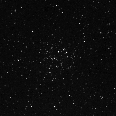 Imagem de referência (DSS2) de NGC 2489 — objeto ainda não capturado no observatório