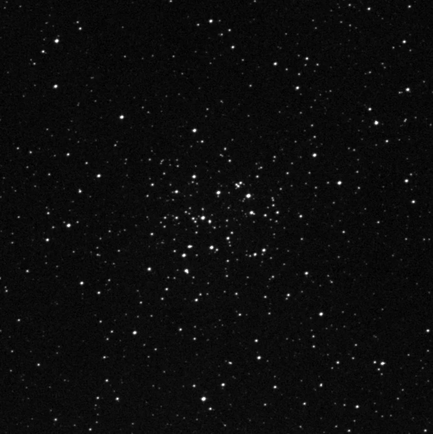 Imagem de referência (DSS2) de NGC 2489 — objeto ainda não capturado no observatório