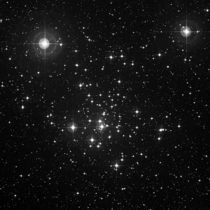 Imagem de referência (DSS2) de NGC 2516 — objeto ainda não capturado no observatório
