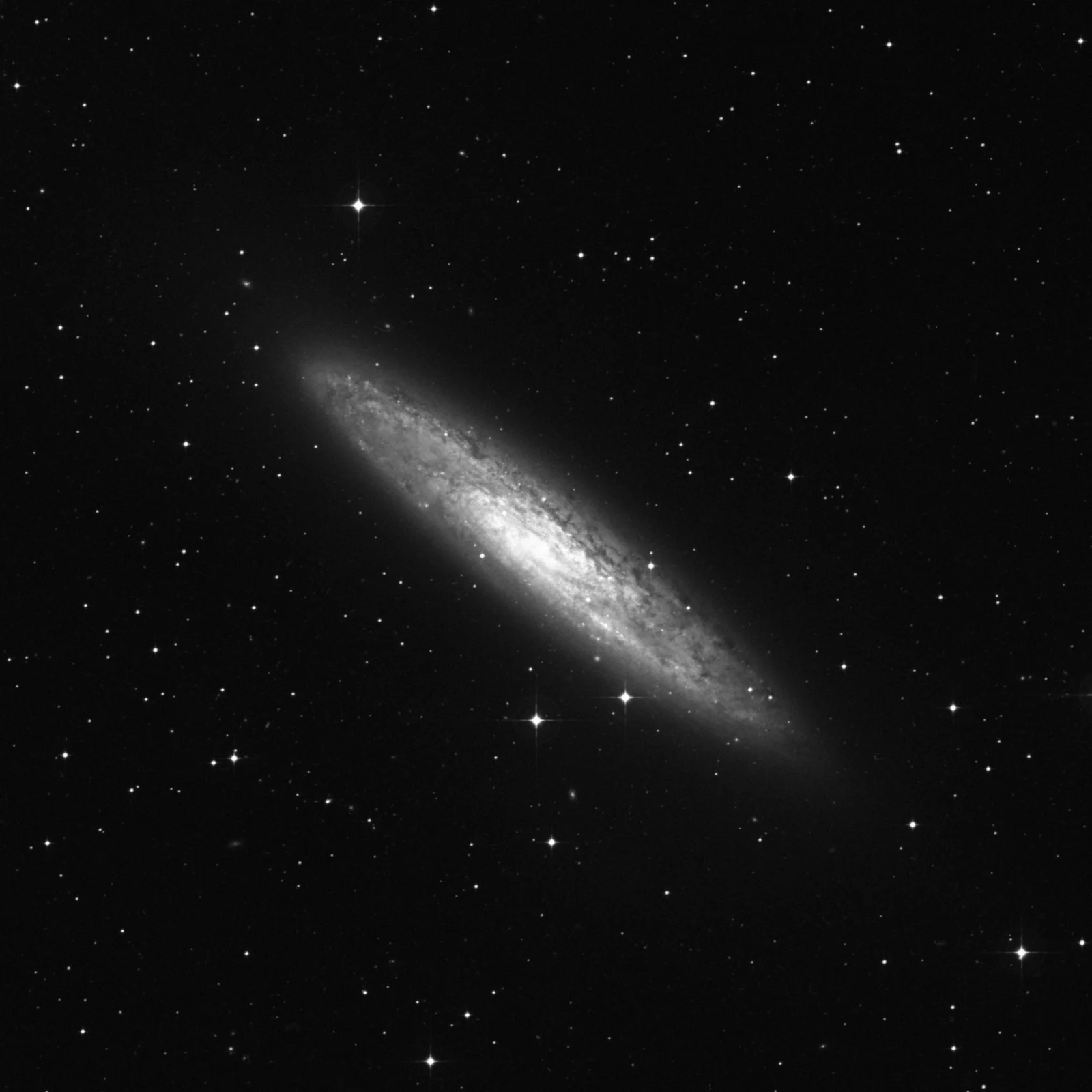 Imagem de referência (DSS2) de NGC 253 — Galáxia do Escultor — objeto ainda não capturado no observatório