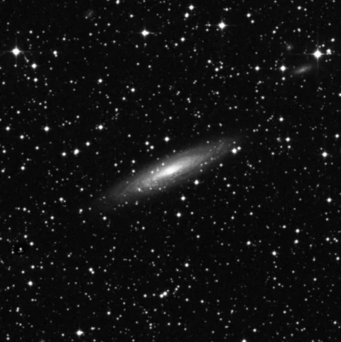 Imagem de referência (DSS2) de NGC 2613 — objeto ainda não capturado no observatório