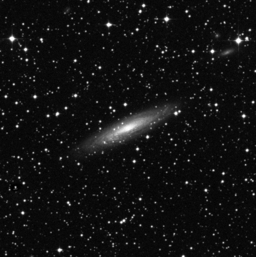 Imagem de referência (DSS2) de NGC 2613 — objeto ainda não capturado no observatório