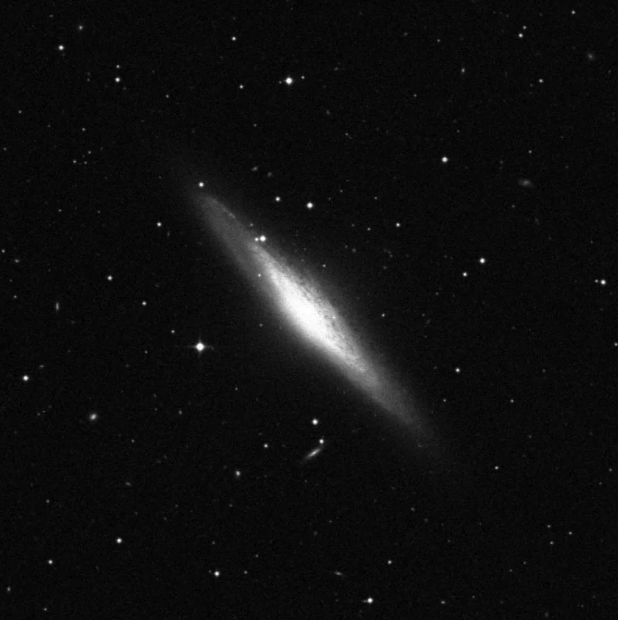 Imagem de referência (DSS2) de NGC 2683 — objeto ainda não capturado no observatório