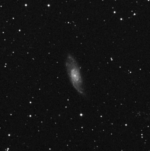 Imagem de referência (DSS2) de NGC 2715 — objeto ainda não capturado no observatório