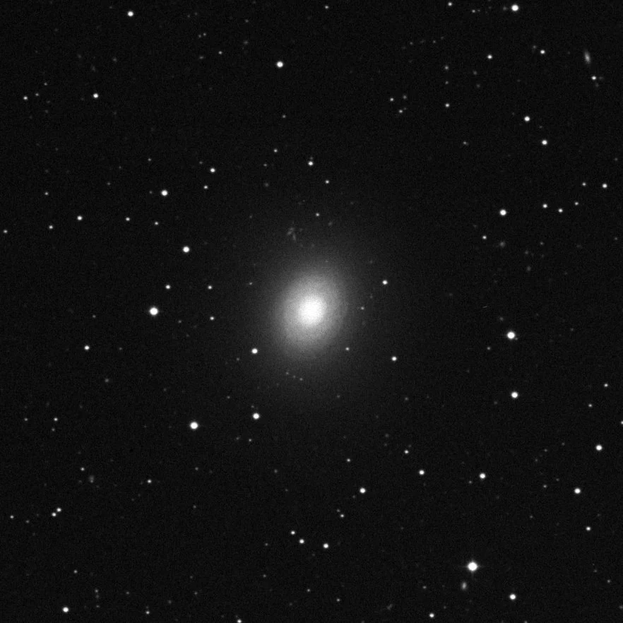 Imagem de referência (DSS2) de NGC 2775 — objeto ainda não capturado no observatório