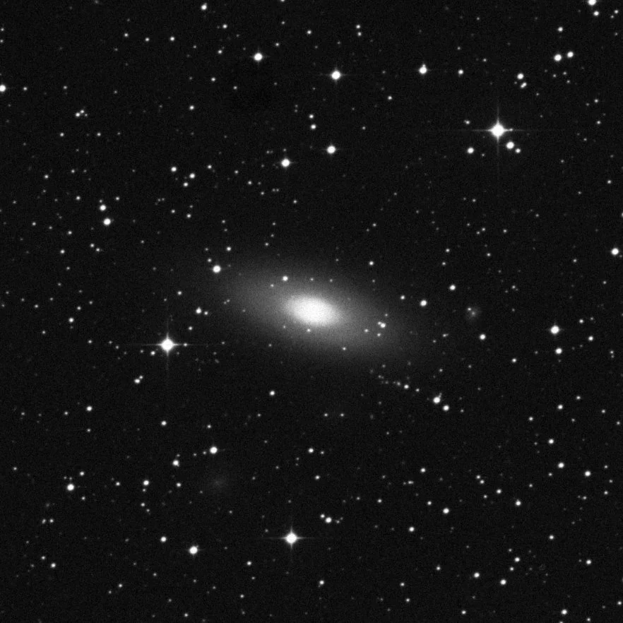 Imagem de referência (DSS2) de NGC 2784 — objeto ainda não capturado no observatório