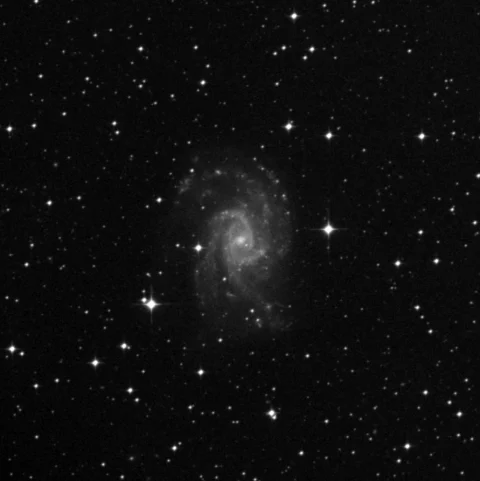 Imagem de referência (DSS2) de NGC 2835 — objeto ainda não capturado no observatório