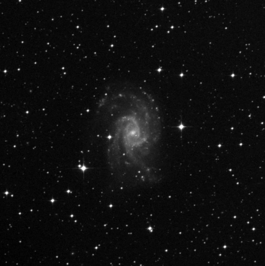 Imagem de referência (DSS2) de NGC 2835 — objeto ainda não capturado no observatório
