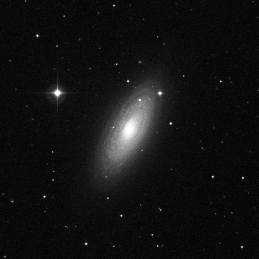 Imagem de referência (DSS2) de NGC 2841 — objeto ainda não capturado no observatório
