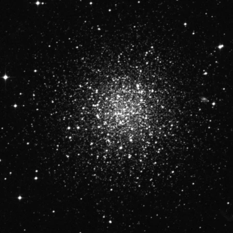 Imagem de referência (DSS2) de NGC 288 — objeto ainda não capturado no observatório