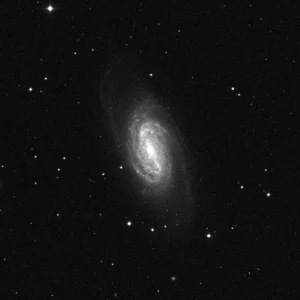 Imagem de referência (DSS2) de NGC 2903 — objeto ainda não capturado no observatório