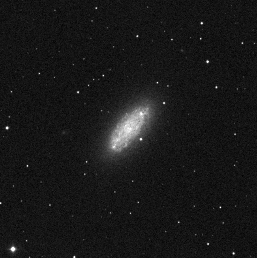 Imagem de referência (DSS2) de NGC 2976 — objeto ainda não capturado no observatório