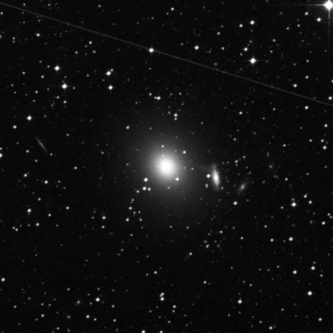 Imagem de referência (DSS2) de NGC 2986 — objeto ainda não capturado no observatório