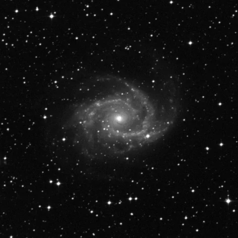 Imagem de referência (DSS2) de NGC 2997 — objeto ainda não capturado no observatório