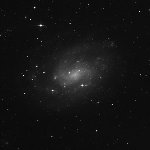 Imagem de referência (DSS2) de NGC 300 — objeto ainda não capturado no observatório