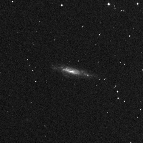 Imagem de referência (DSS2) de NGC 3003 — objeto ainda não capturado no observatório