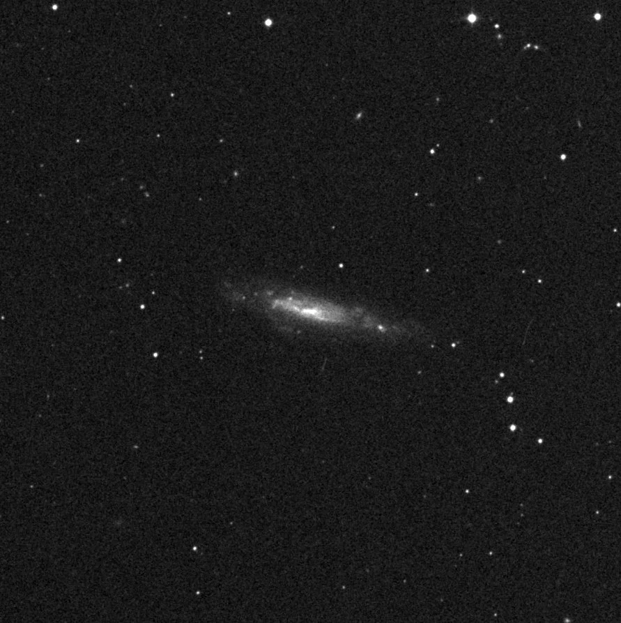 Imagem de referência (DSS2) de NGC 3003 — objeto ainda não capturado no observatório