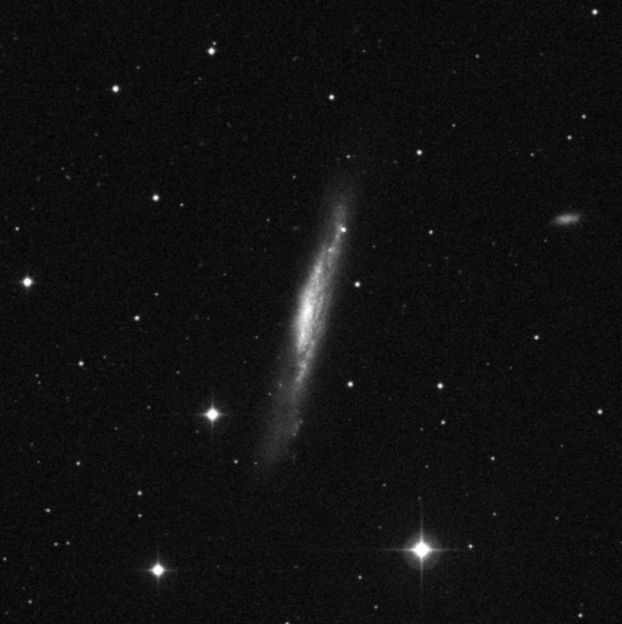 Imagem de referência (DSS2) de NGC 3079 — objeto ainda não capturado no observatório