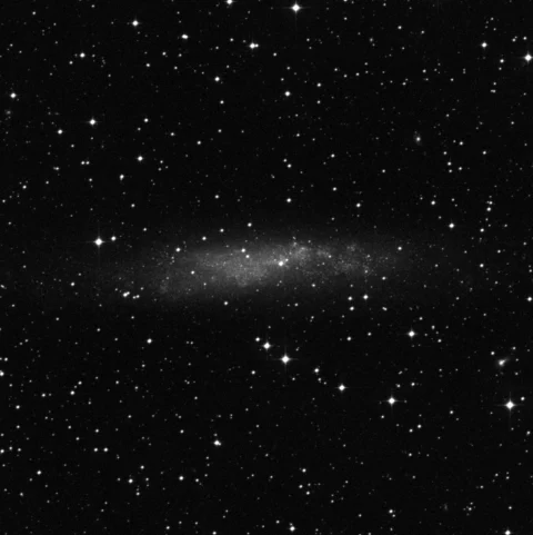 Imagem de referência (DSS2) de NGC 3109 — objeto ainda não capturado no observatório