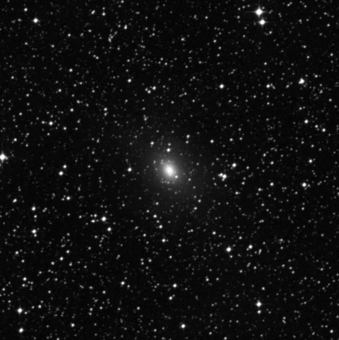 Imagem de referência (DSS2) de NGC 3136 — objeto ainda não capturado no observatório