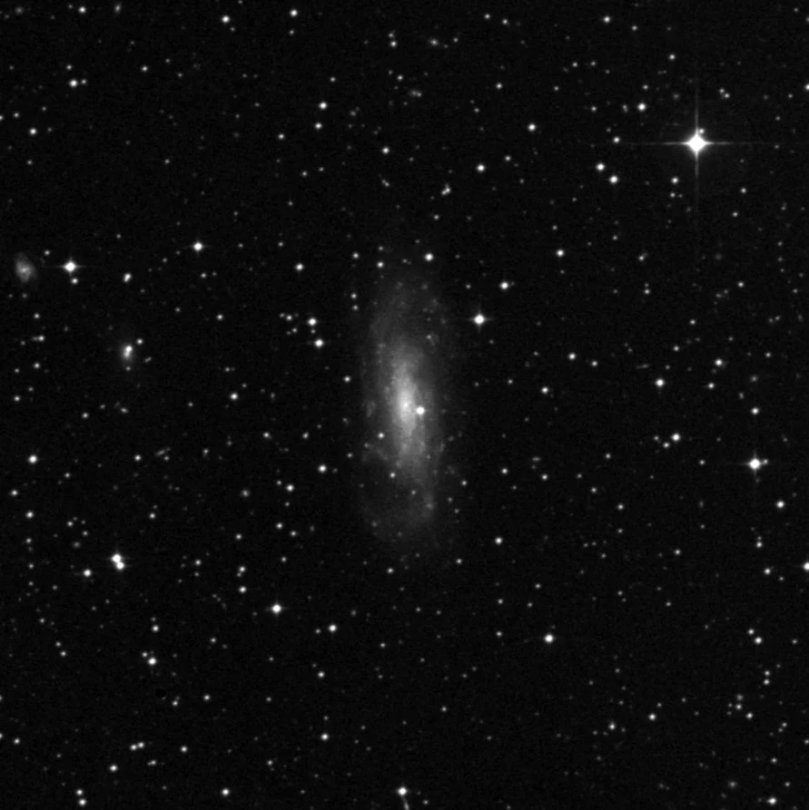 Imagem de referência (DSS2) de NGC 3137 — objeto ainda não capturado no observatório