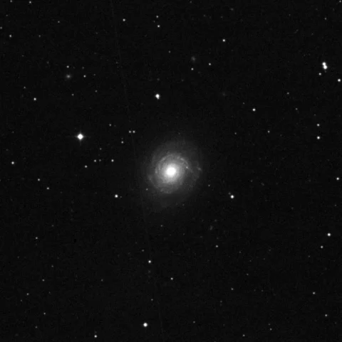 Imagem de referência (DSS2) de NGC 3147 — objeto ainda não capturado no observatório