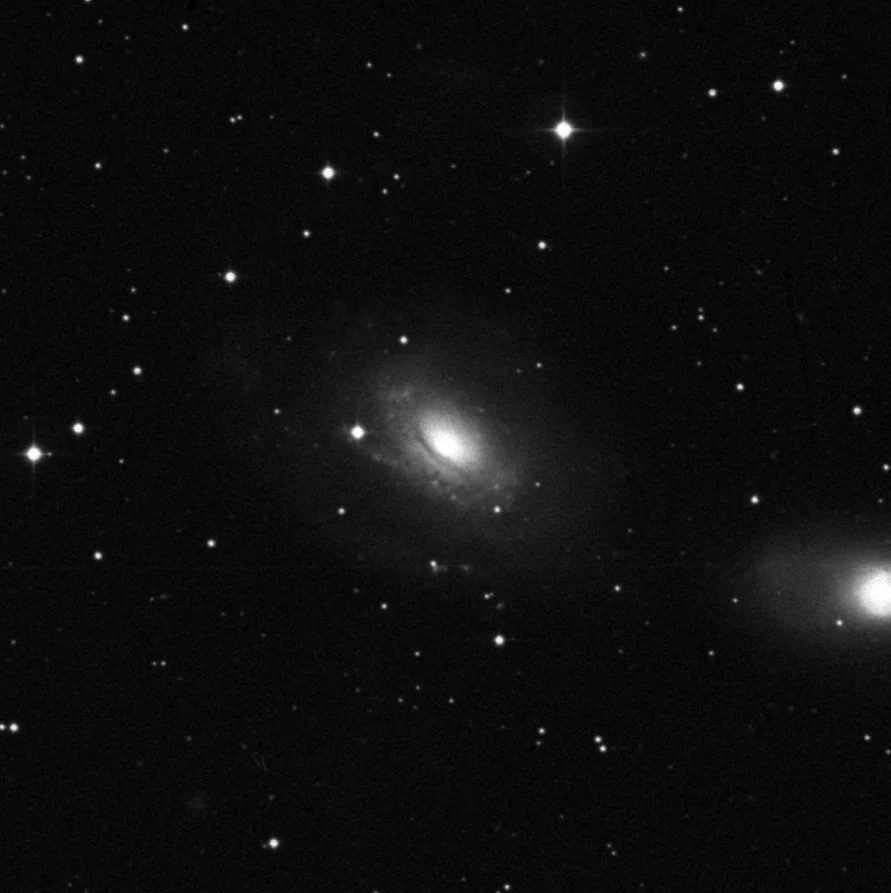 Imagem de referência (DSS2) de NGC 3169 — objeto ainda não capturado no observatório