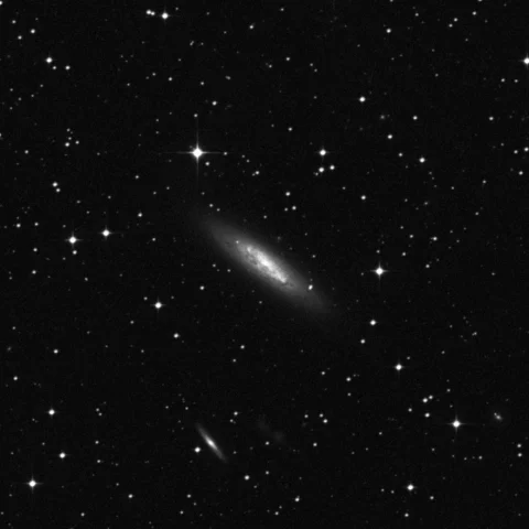 Imagem de referência (DSS2) de NGC 3175 — objeto ainda não capturado no observatório