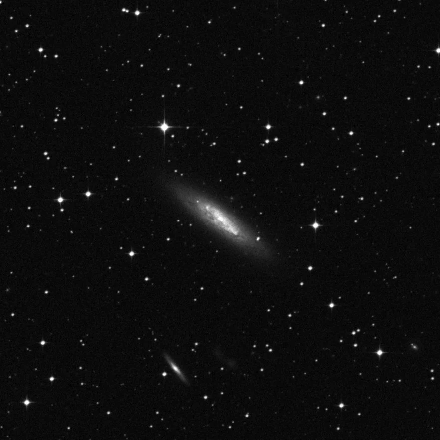 Imagem de referência (DSS2) de NGC 3175 — objeto ainda não capturado no observatório