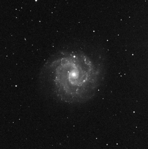 Imagem de referência (DSS2) de NGC 3184 — objeto ainda não capturado no observatório