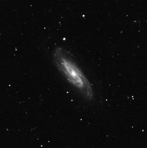 Imagem de referência (DSS2) de NGC 3198 — objeto ainda não capturado no observatório